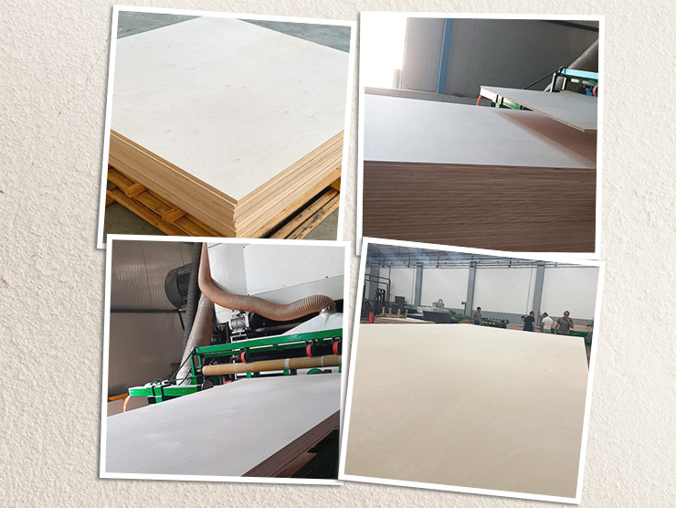 NF ELIT Warehouse in Ohio